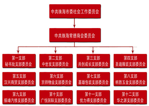 珠海常德商会组织架构图|党组织架构图